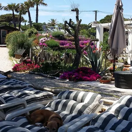 Villa St Tropez Pieds Dans L'eau Pampelonne Plage *