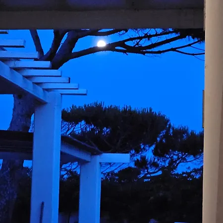 Villa St Tropez Pieds Dans L'eau Pampelonne Plage *